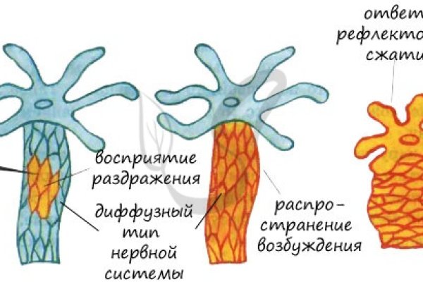 Kra17.cc