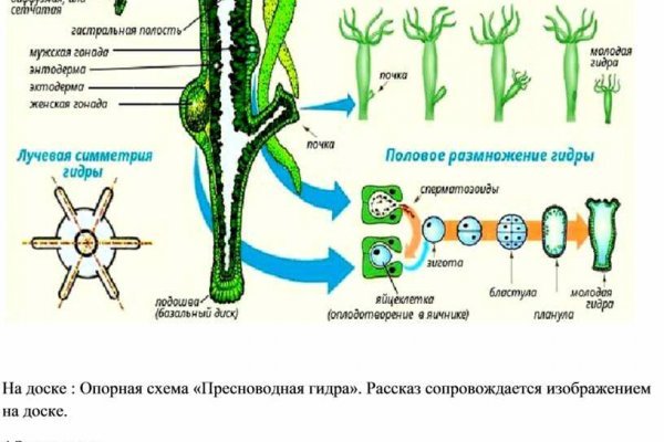 Кракен даркнет плейс